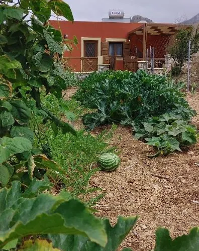 Stavlos * أركاسا